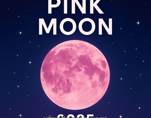 Fenomena Langit Pink Moon 2025 Fenomena Langit Pink Moon