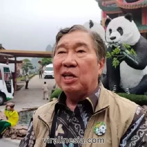 Jansen Manansang