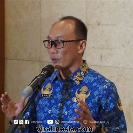 Panduan Lengkap MOLA BKN