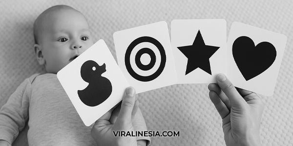 Bermain Kartu Kontras Hitam Putih untuk Bayi Stimulasi Visual Cerdas Sejak Dini