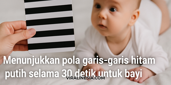 Menunjukkan Pola Garis-Garis Hitam Putih Selama 30 Detik untuk Bayi Stimulasi Otak Sederhana namun Efektif